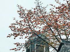 -东涌水乡风情街