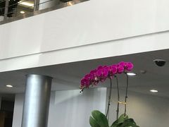 -天津波士信达奔驰4S店(卫津南路店)