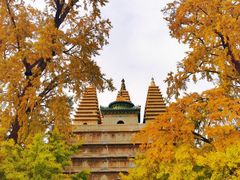 -北京石刻艺术博物馆(五塔寺)