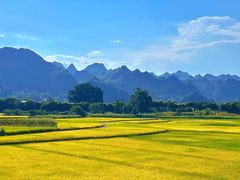 -万峰林风景区