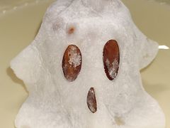 -巴黎贝甜(常德路店)