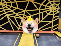 -Tenker Club弹刻极限主题公园 · 蹦床 · 团建 · 生日派对(大关店)