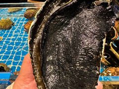 -四海之家(蛇口店)