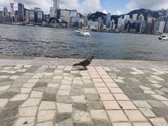 -星光大道