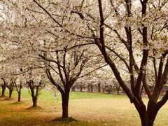 -同济大学(嘉定校区)