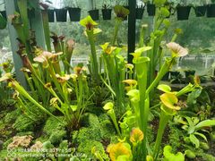 -国家植物园南园