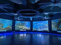 -海合安武汉极地海洋公园