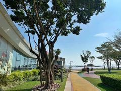 -太平洋咖啡(海天驿站店)