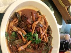 -紫光园(顺义店)