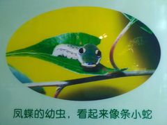 -上海昆虫博物馆