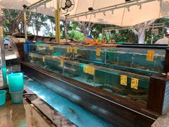 水产区-荔城生鲜盛宴(番禺旗舰店)