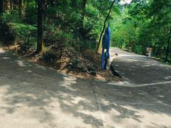-中山市树木园
