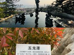-信号山公园