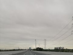 -大湾区中央湿地公园-十九涌