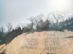 -棒棰岛宾馆景区