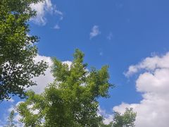 -回龙观体育文化公园