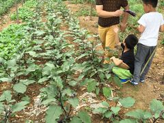 -白鹭湾湿地公园