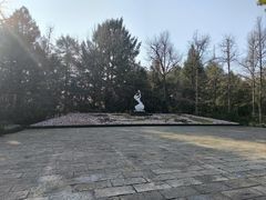 -杭州植物园