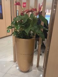 -南京康美美容医院·旗舰店
