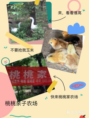 有机会还是得拖去体验一下农场生活