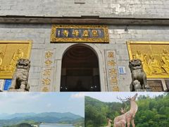 -长沙黑麋峰国家森林公园