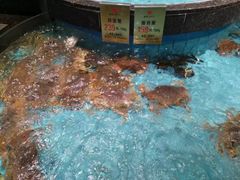 -西贝海鲜汇(槐安路店)