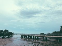 -宝安西湾红树林湿地公园