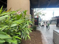 -悉尼歌剧院