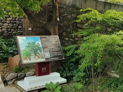 -红螺寺