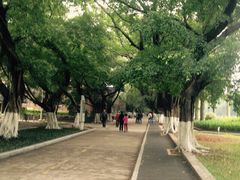 iphone_upload_pic-中山大学学者灵芝(园南路店)