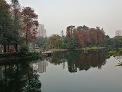 -晓港公园