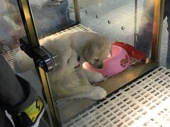 -乐宠宠物店(世纪金源店)