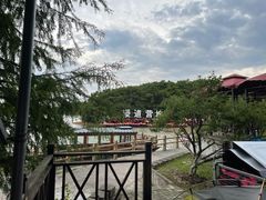 -上海海湾国家森林公园