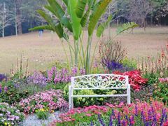 -广州市白云山风景名胜区