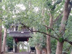 -蒋氏故居