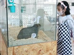 -怪兽屋·羊驼·猫咖·狗咖(俊华广场店)