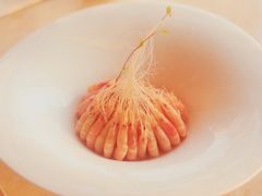 -三利音·浦之舟(滨江大道店)