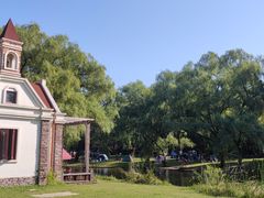 -上海共青森林公园