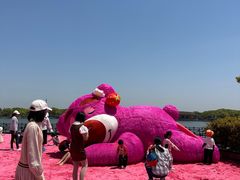 -上海都市菜园