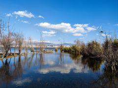 -洱海月湿地公园