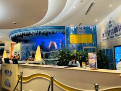 -帝企鹅自助餐厅•儿童岛•真企鹅(长隆企鹅酒店)