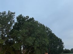 -清真·马坡烧烤涮牛肚·酸浆火锅(新区总店)