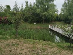 -同里国家湿地公园