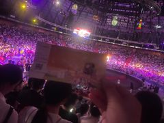 -俄罗斯国家大马戏团