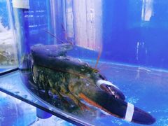 -鼓歌海鲜舫·手抓海鲜(大学城店)