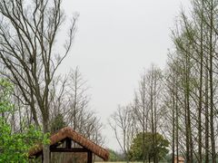 -良渚古城遗址公园