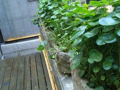 -外婆船宴餐厅·外婆喊你回家吃饭