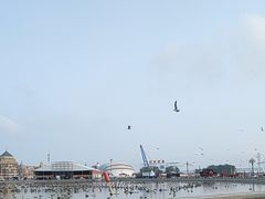 -星海广场