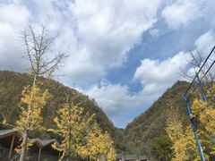 -牛背梁国家森林公园