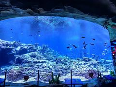 -珠海长隆海洋王国
